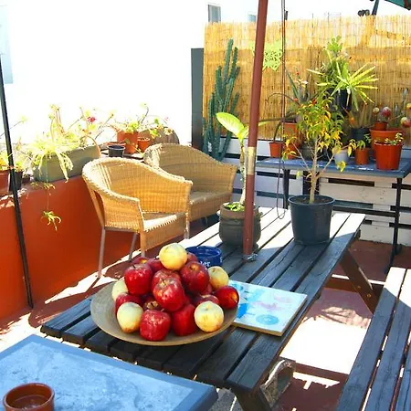 Matt Terrace *