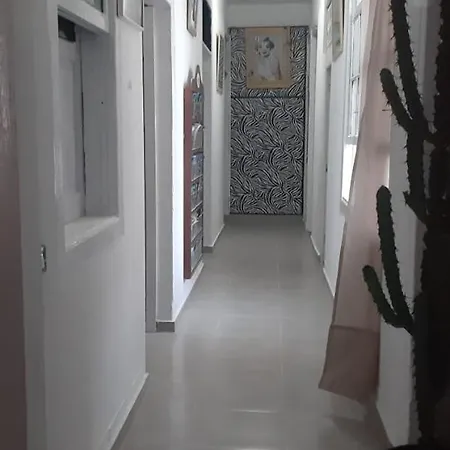Matt Terrace *