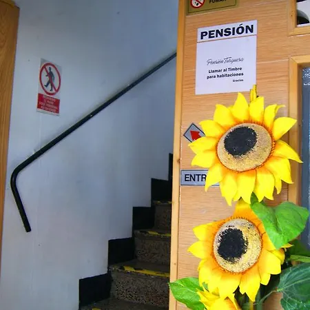 Pensionat Matt Terrace